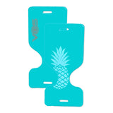 Phoenix Pool Saddle Effusion